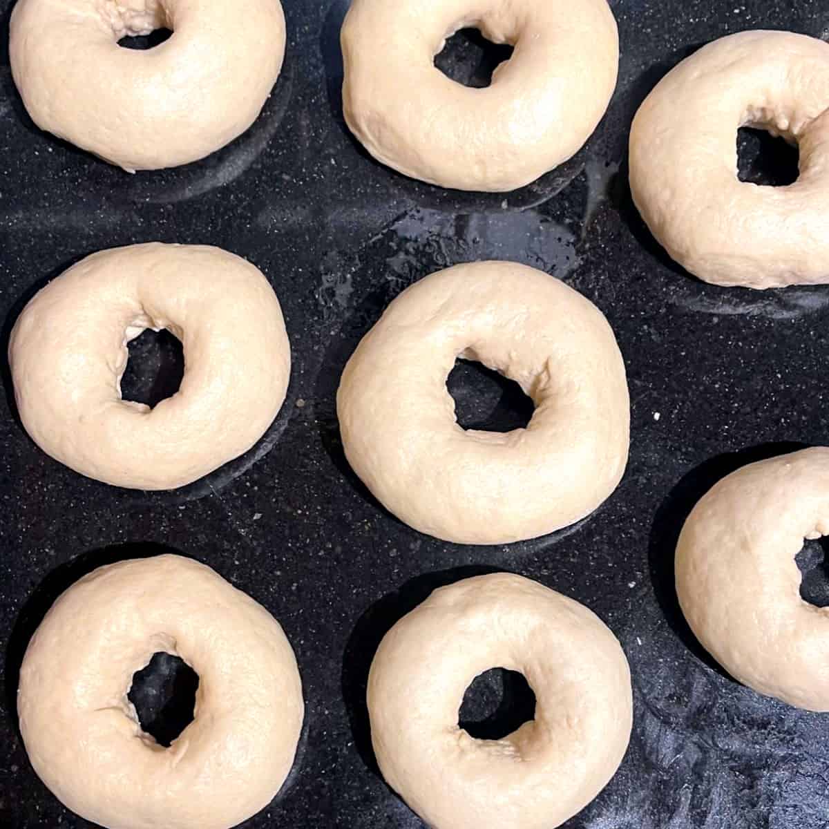Shaped bagels before rising.