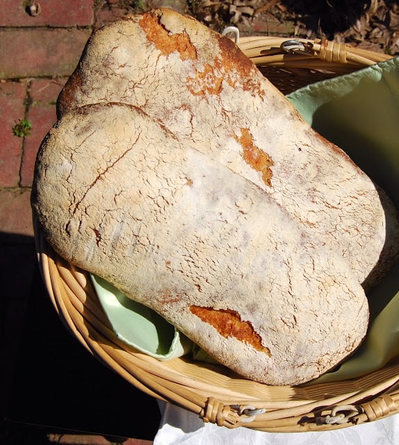 Two loaves of whole wheat sourdough ciabatta in basket with green napkin.