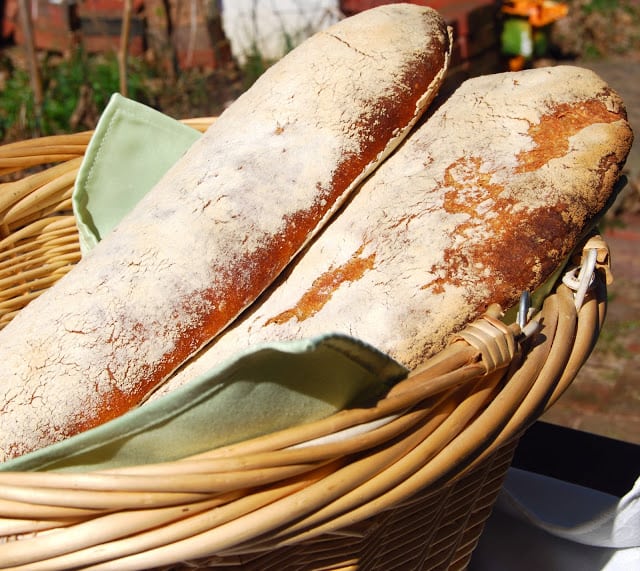 Two loaves of whole wheat sourdough ciabatta in basket.