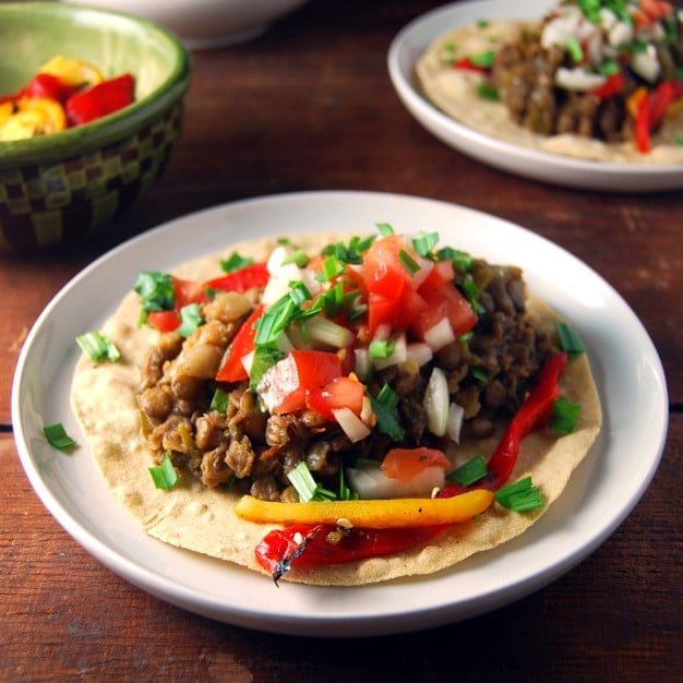 Vegan lentil taco in white plate.