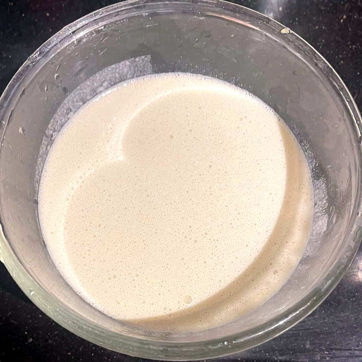 Coconut and cashew milk in bowl.