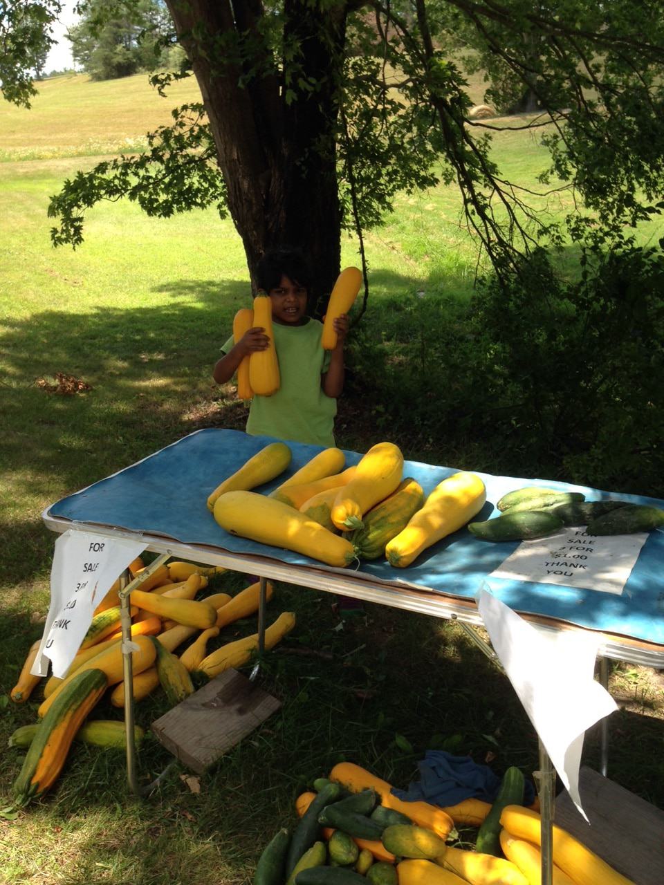 Boy holding up yellow squash with more squash on a table in front of him.