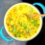 Easy Vegetable Curry in large blue and white dutch oven with ladle.