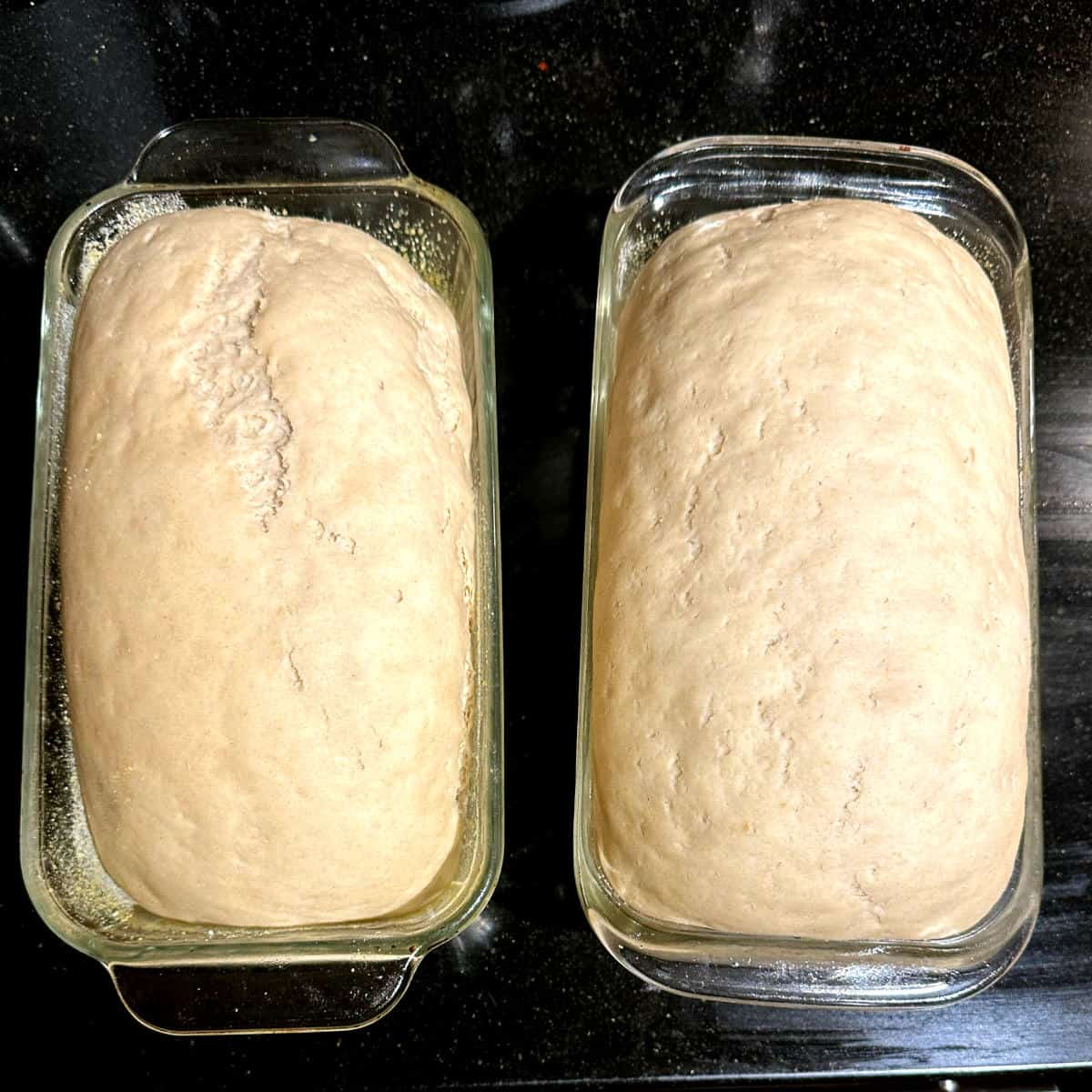Sourdough sandwich bread loaves after rising.