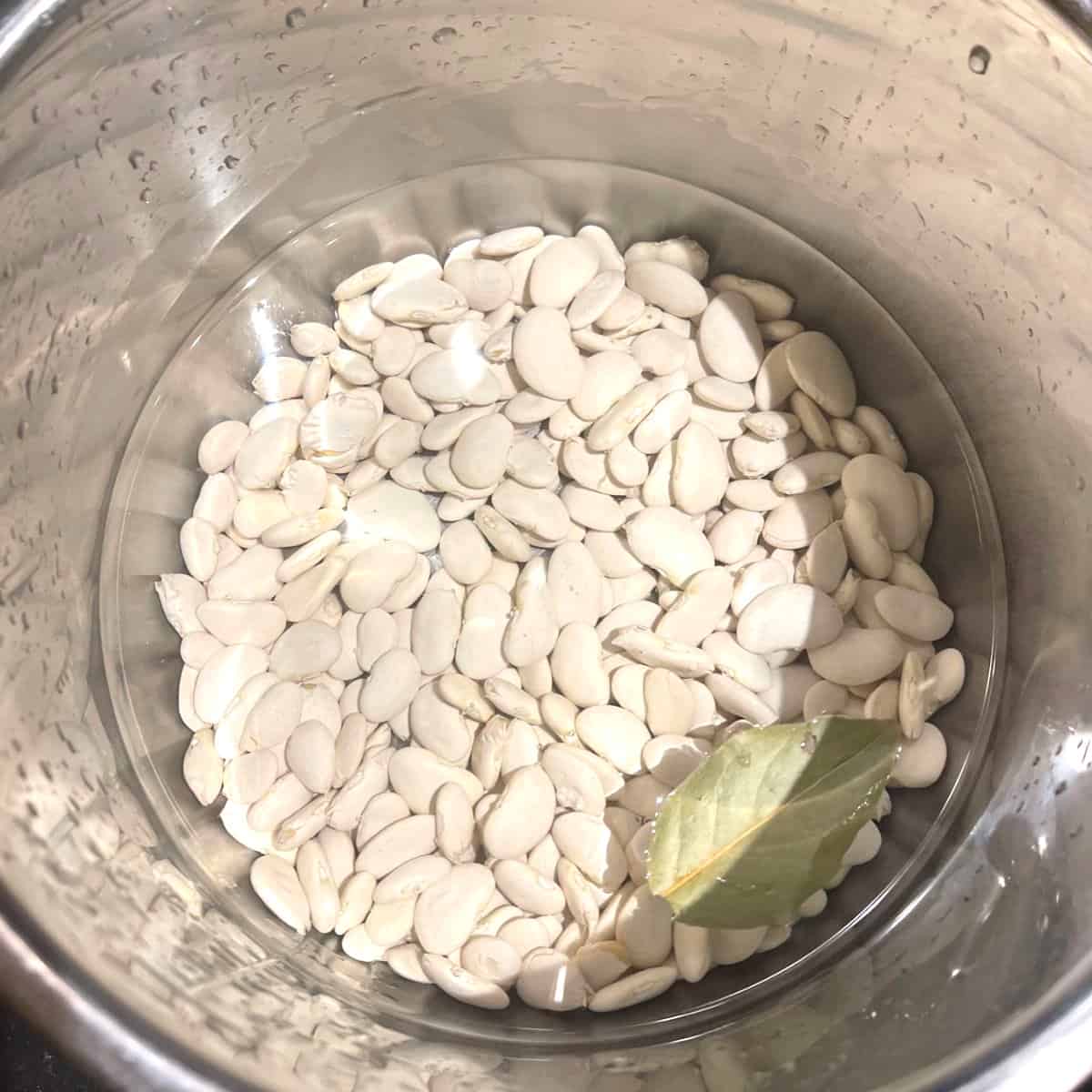 Lima beans in instant pot liner.