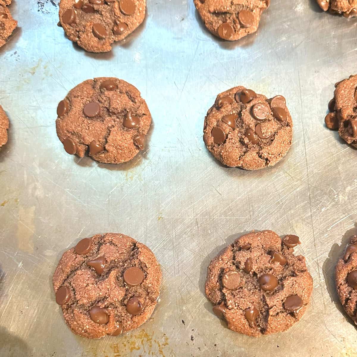Vegan cookies on baking sheet after coming out of oven.