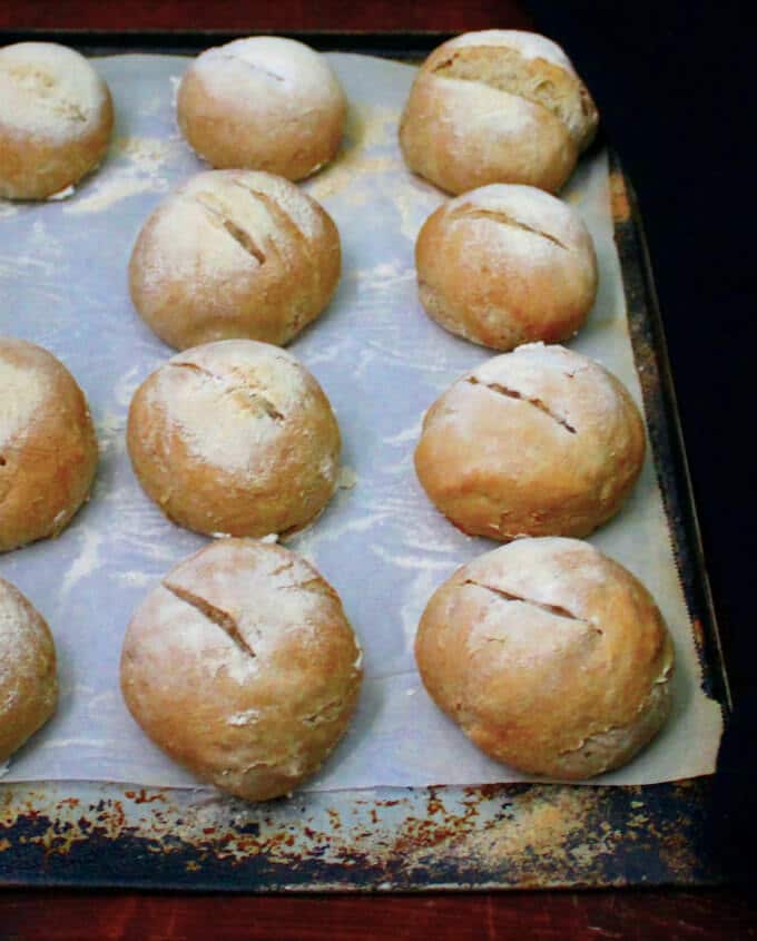 Freshly baked Crusty Sourdough Dinner Rolls lined on a baking sheet with parchment paper