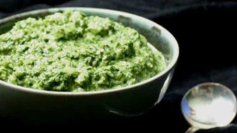 A fresh and green Fennel Fronds Pesto that's fresh and delicious and nutritious. A great way to use up the feathery leaves you might otherwise throw out. #vegan, #soyfree, #glutenfree, #pesto, #nutfree #holycowvegan HolyCowVegan.net