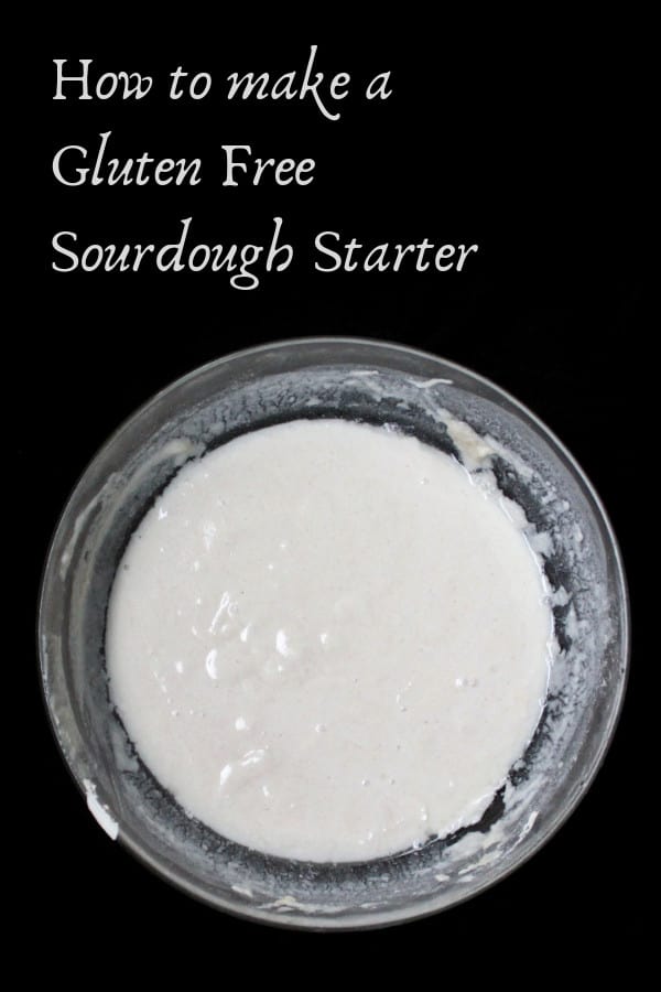 How to make a gluten free sourdough starter. #vegan, #glutenfree, #sourdough, #bread HolyCowVegan.net