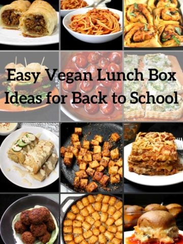 Easy Vegan Lunch Box Ideas for Back to School