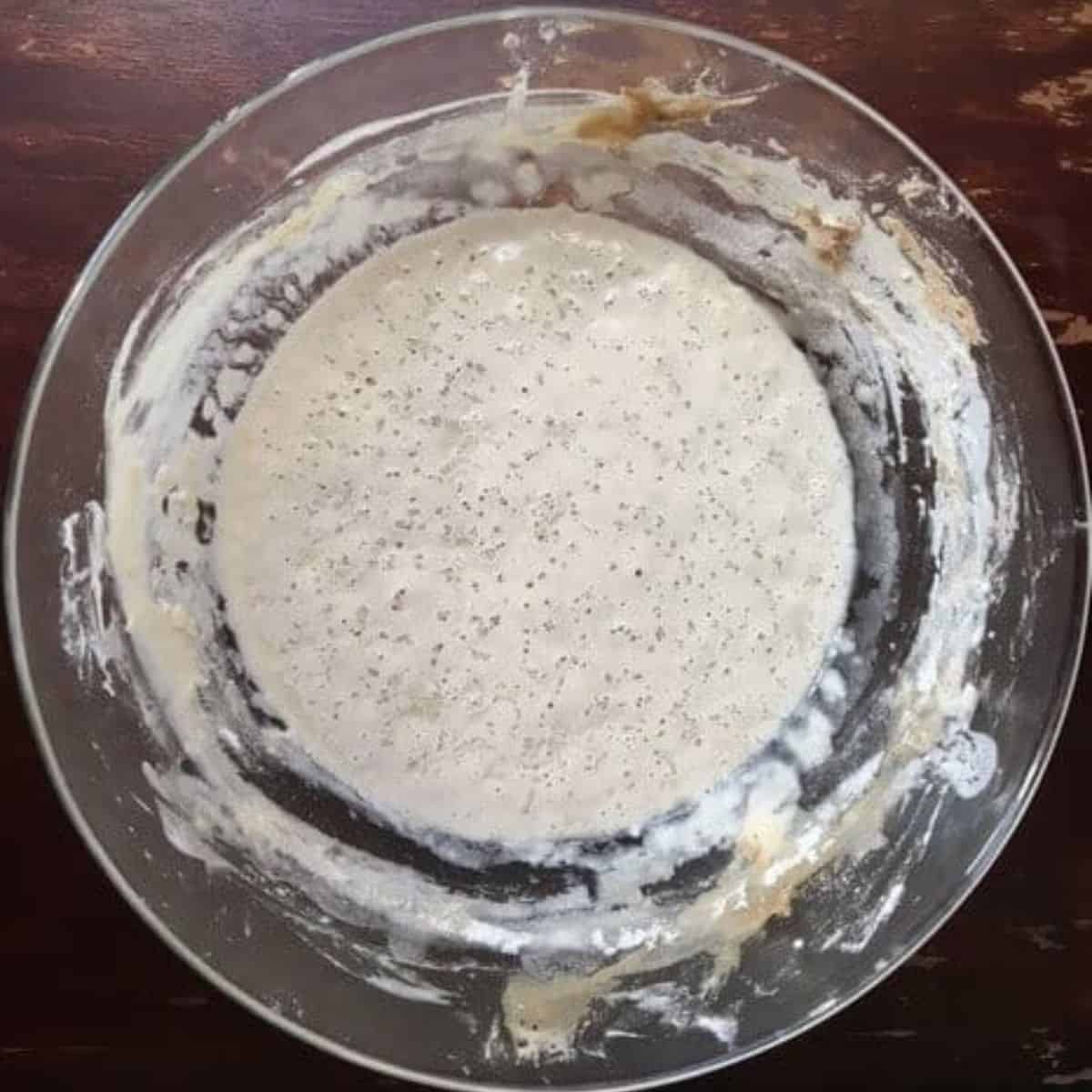 Sourdough starter on day 5, after feeding.