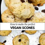 Fluffy, crispy around the edges and melt-in-the-mouth tender, these vegan scones would quite possibly make the queen happy at high tea. They are even part whole-wheat! Black currants add a sweet touch, and stir in some optional sourdough for even greater texture, flavor --- and health. #veganscones #veganrecipes #sconerecipe #britishhightea #holycowvegan