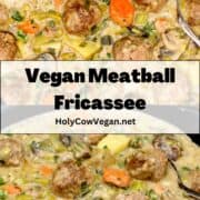 Vegan fricassee with text that says "vegan meatball fricassee."
