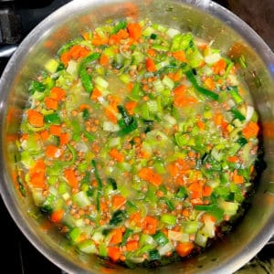 Vegan lentils cooking with carrots, celery and other veggies in saucepan.