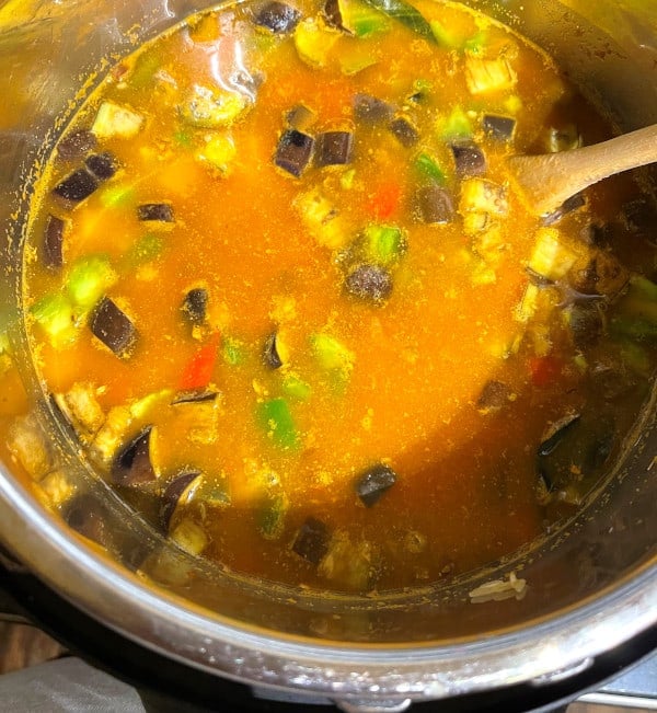 Masala khichdi in Instant Pot with water added
