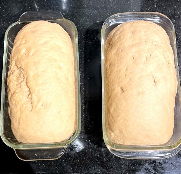 Sandwich dough in loaf pans.