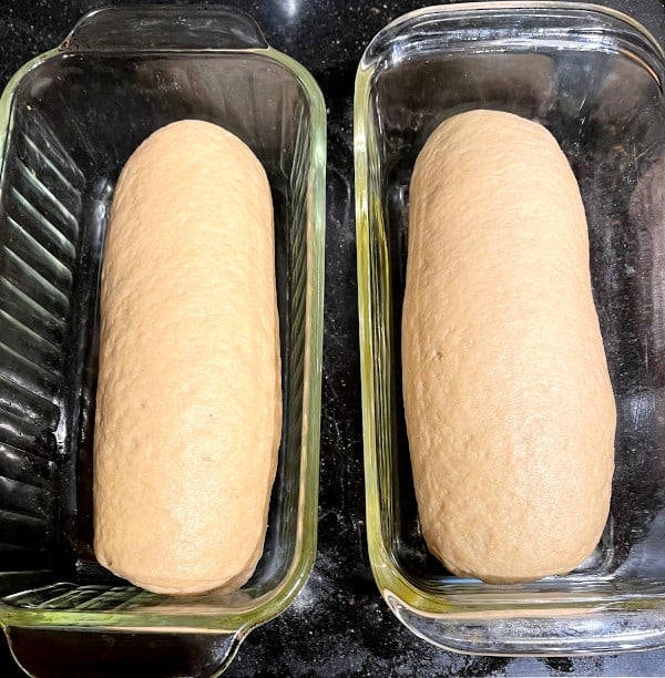 Loaves before rising in bread pans.