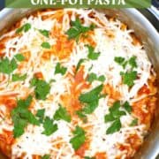 Vegan One-Pot Pasta image with text inlay that says "easy cheesy vegan one-pot pasta"