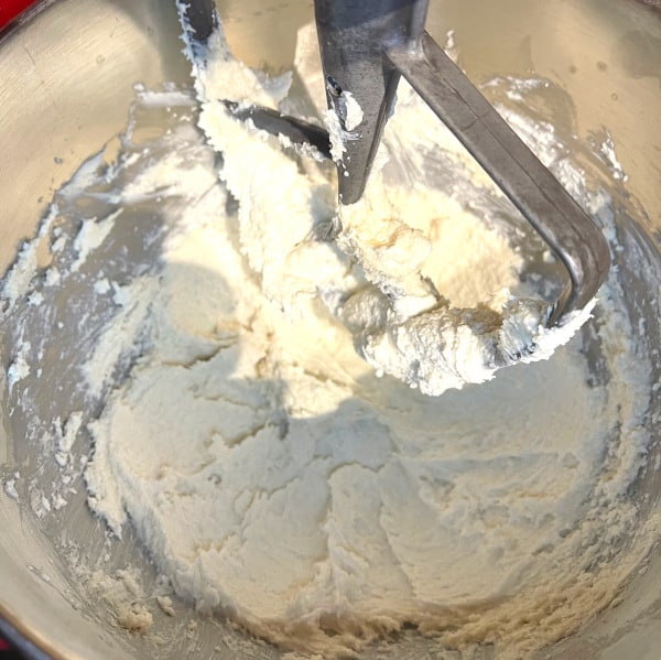 Butter and sugar creamed together in stand mixer bowl.