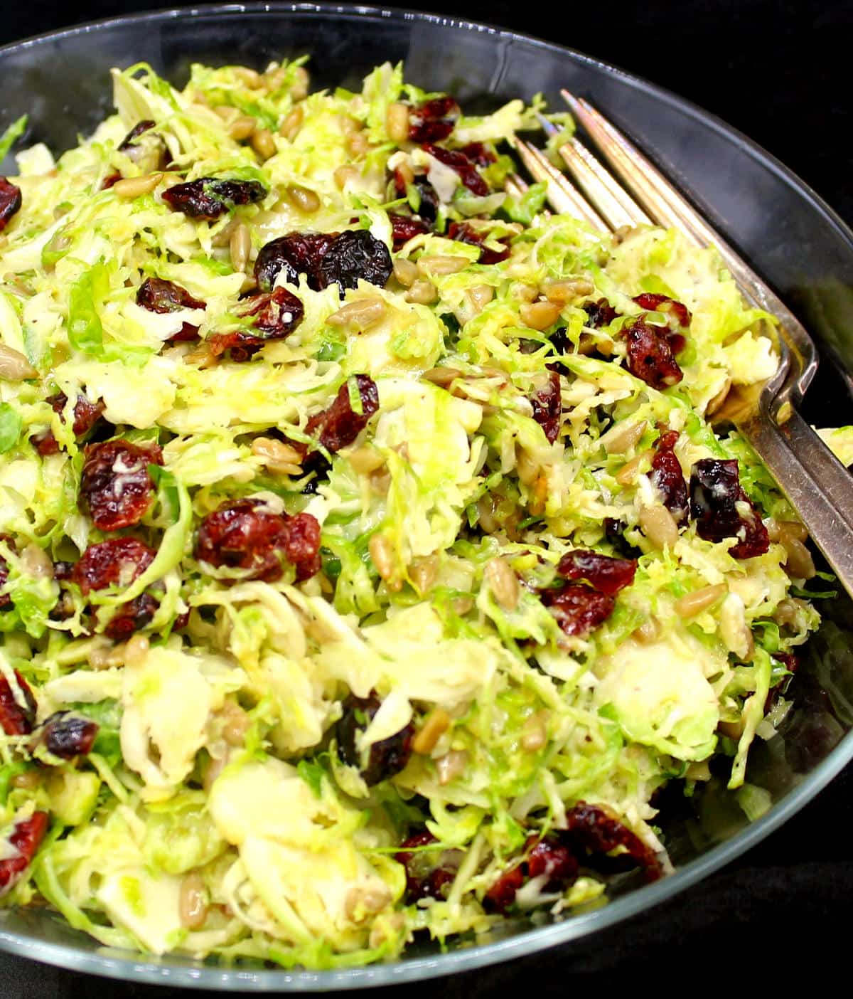 Front closeup of a bowl of shaved brussels sprouts salad with cranberries and sunflower seeds and forks.