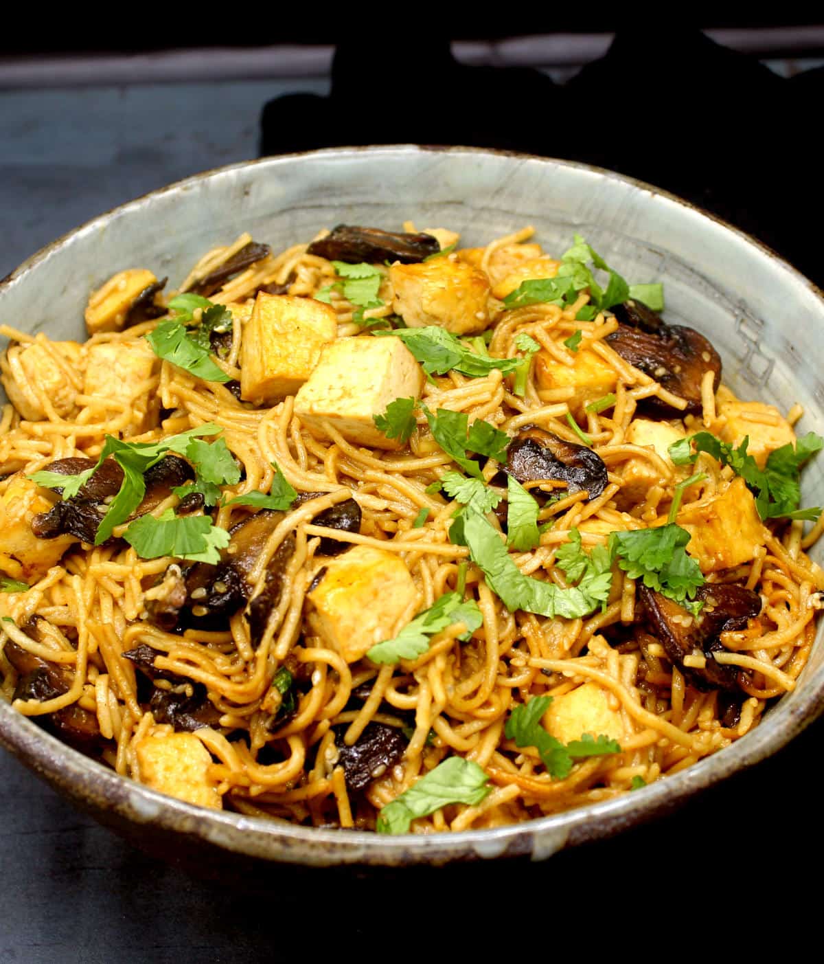 Front closeup of a bowl of vegan soba noodles with maple-srirarcha sauce and mushrooms and tofu.