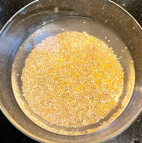 Sorghum and moong dal soaked in water in bowl.