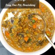 Image of lentil soup with text inlay that says "creamy lentil soup, easy, one-pot, nourishing"