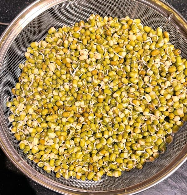 Sprouted mung beans.