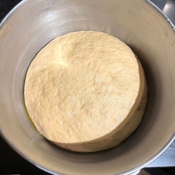 Risen naan dough in bowl.
