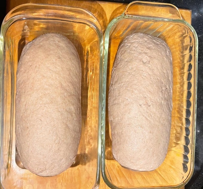 Shaped loaves in glass loaf pans.