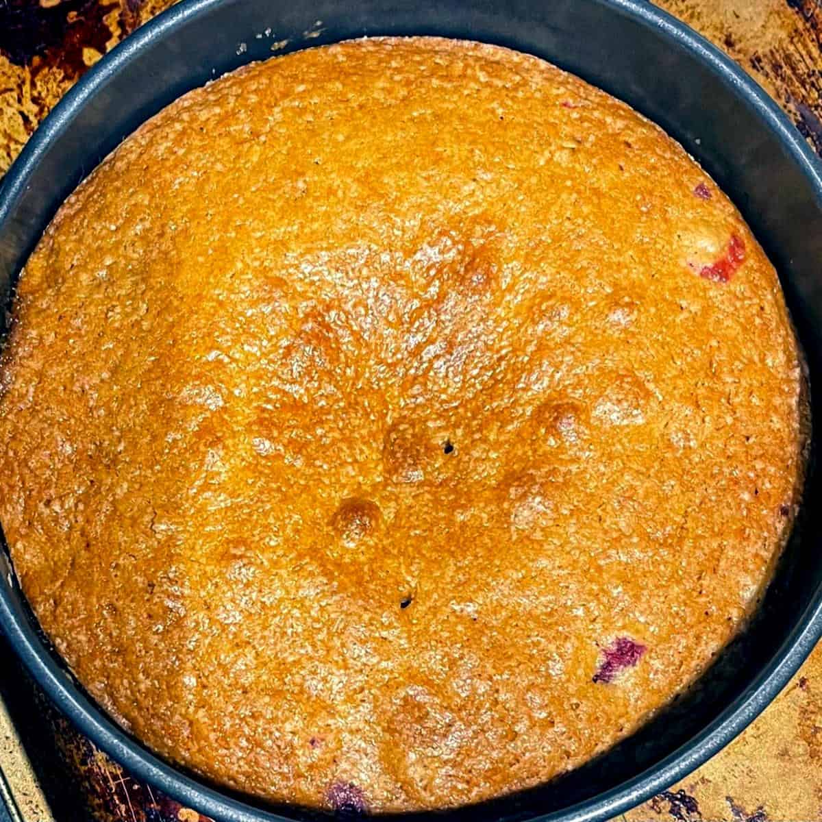 Baked cranberry upside down cake in springform pan.