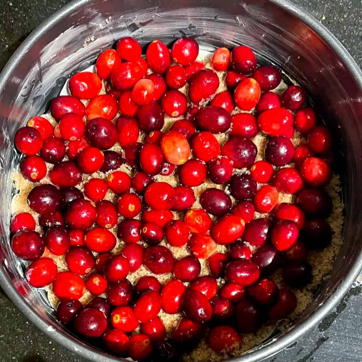 Cranberries arranged over sugar in springform pan.