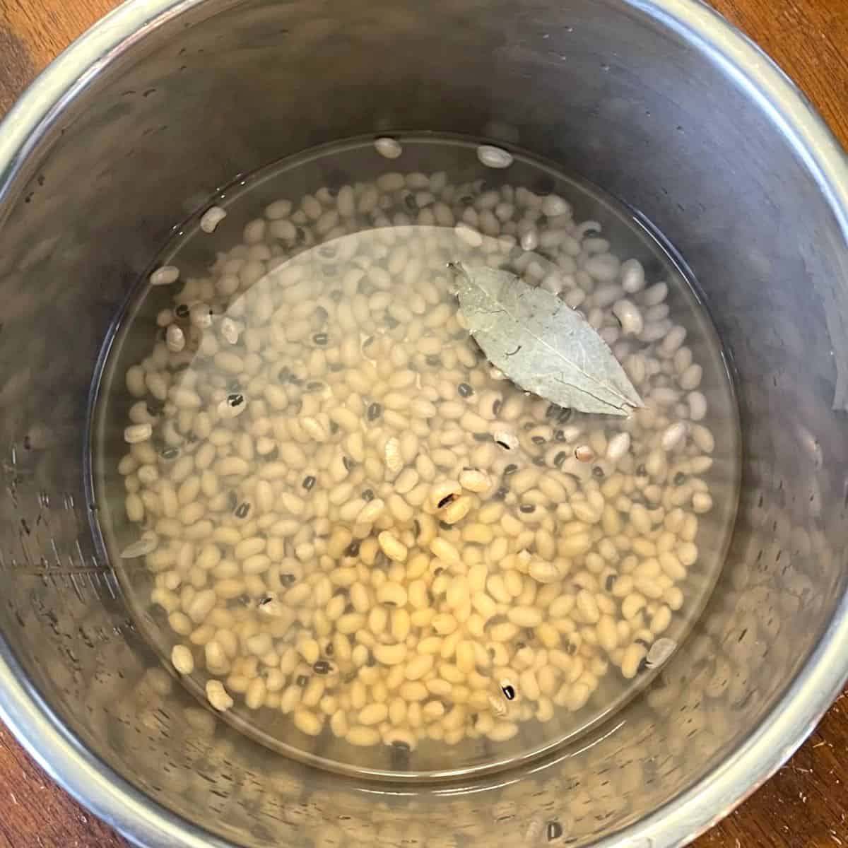 Dried beans with water and bay leaf in Instant Pot liner