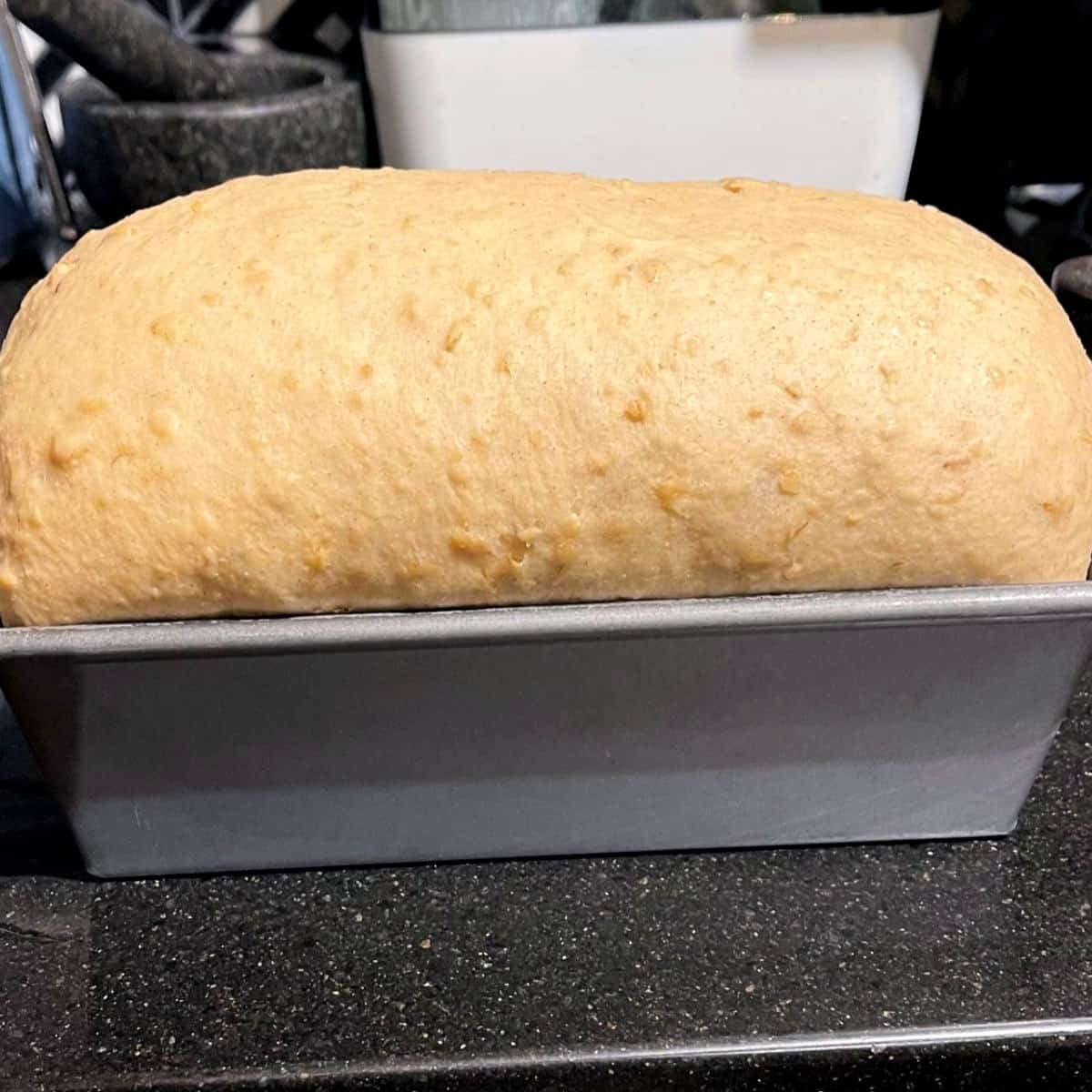 Risen loaf in loaf pan.