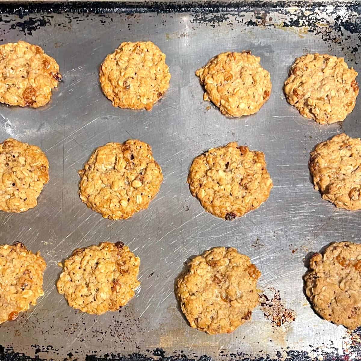 Baked vegan oatmeal cookies on cookie sheet.
