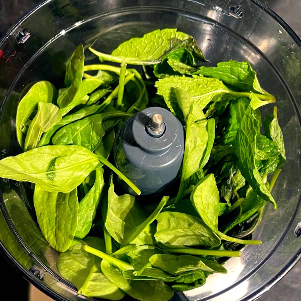 Spinach and mint in food processor bowl for mint pesto.