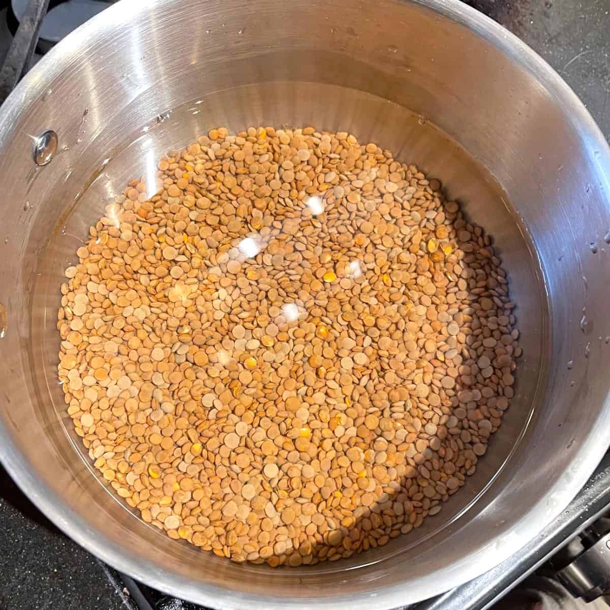 Brown lentils in saucepan with water.