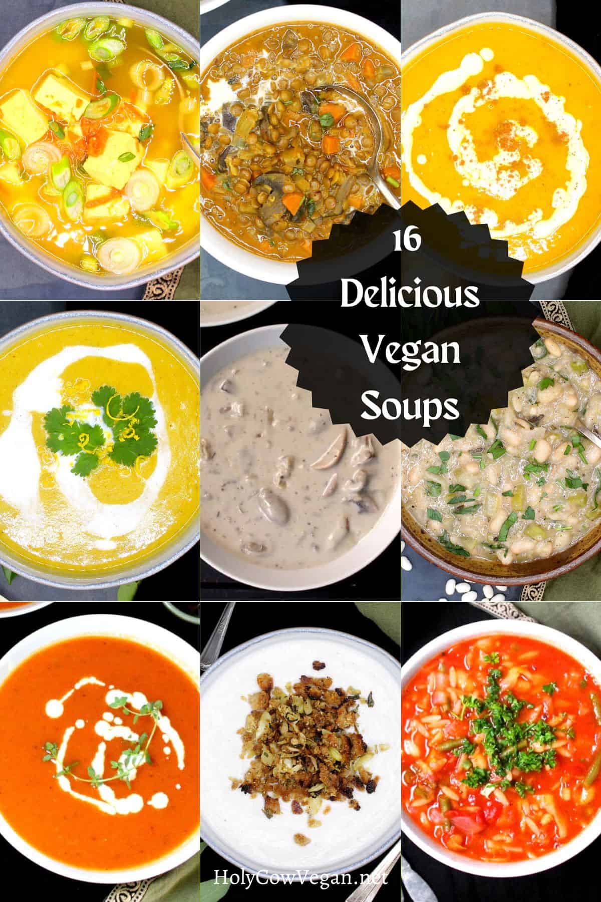 Vegan soup recipe images with text that says "16 delicious vegan soups".