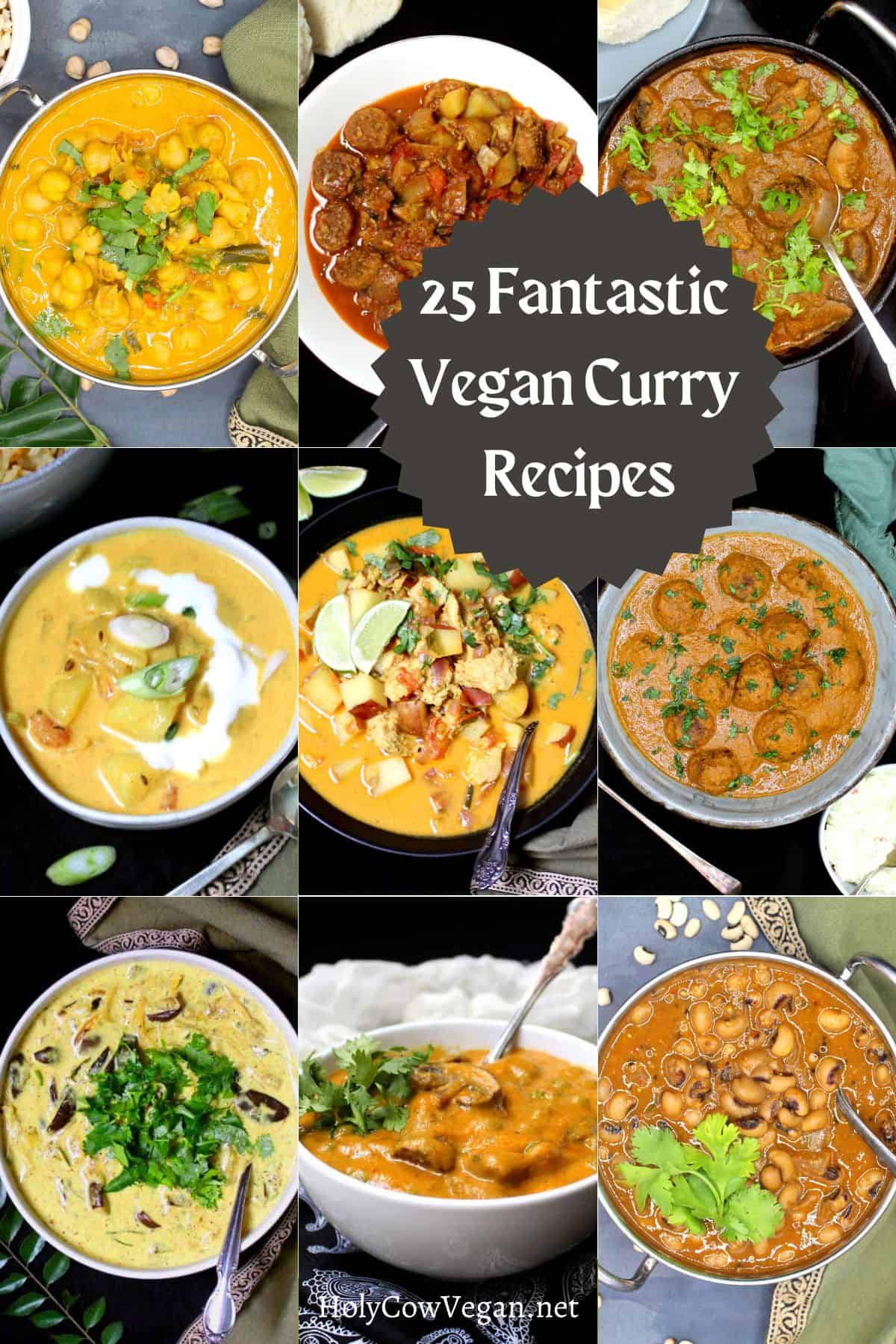 Images of 9 vegan curries with text that says "25 fantastic vegan curry recipes."