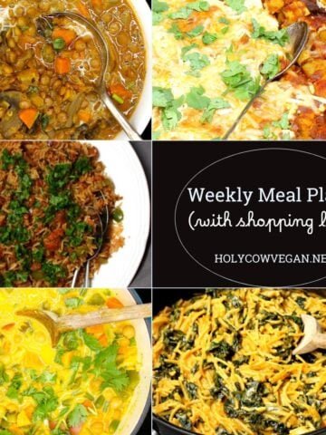 Images of lentil soup, dirty rice, vegetable curry, tofu casserole and spaghetti with text that says "weekly meal plan 3, holycowvegan.net".