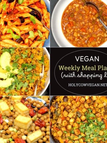 Images of five vegan dinners with text that says "vegan meal plan 7, with printable shopping list), holycowvegan.net."