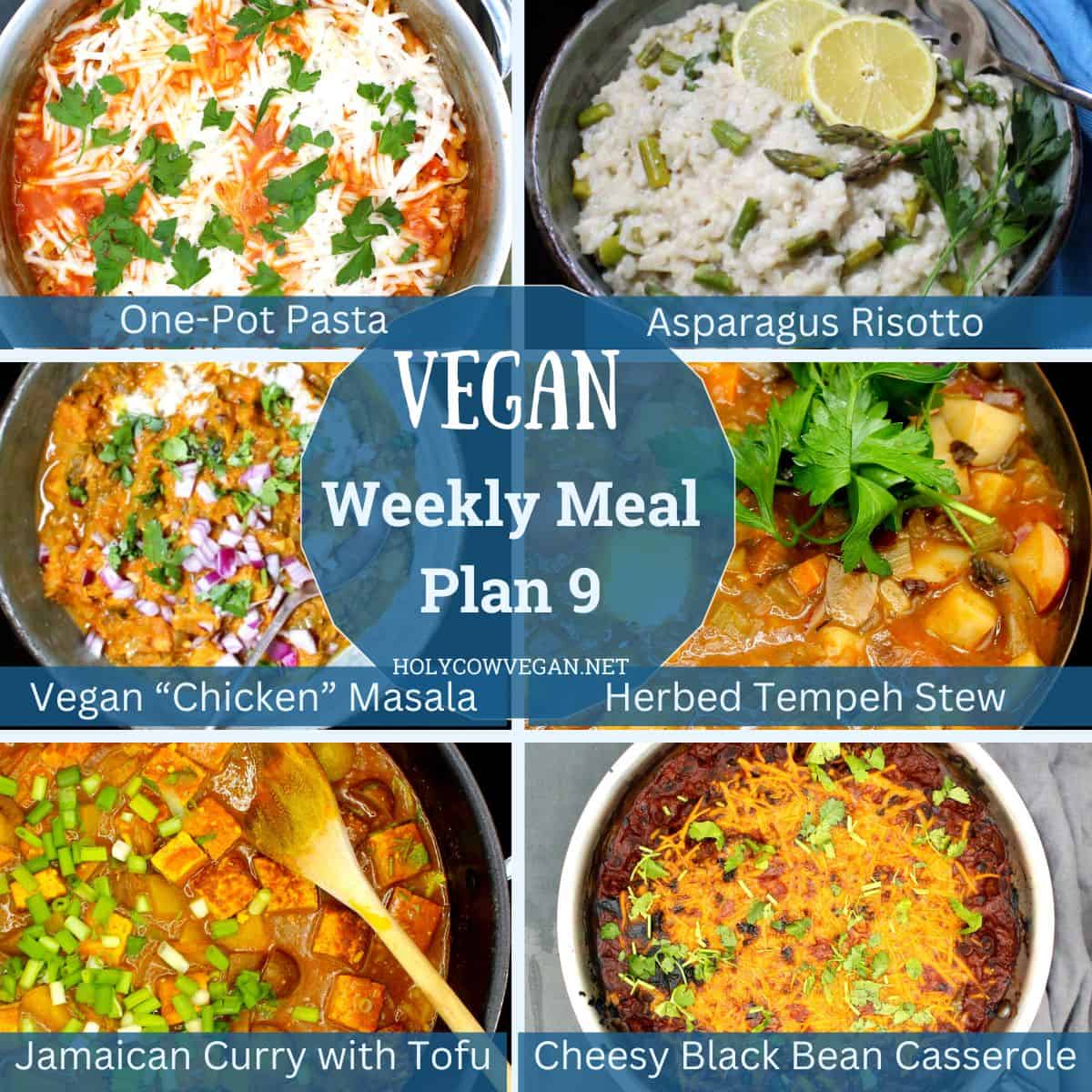 Images of 6 vegan dinners with text that says "vegan weekly meal plan 9".