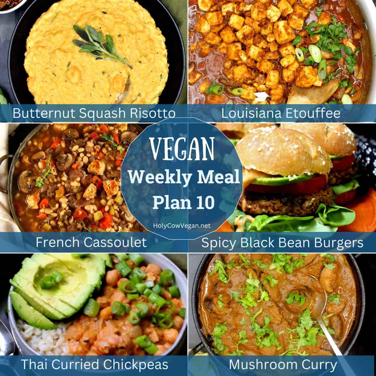 Images and names of vegan dinners with text that says "vegan weekly meal plan 10."