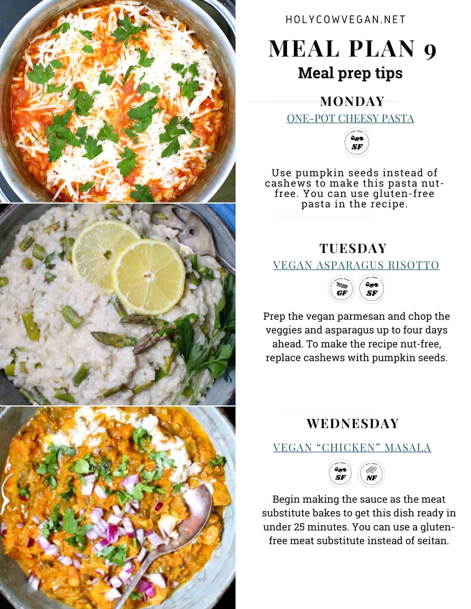 Front page of vegan meal plan 9 with images of three vegan recipes, meal prep instructions and allergy guide.
