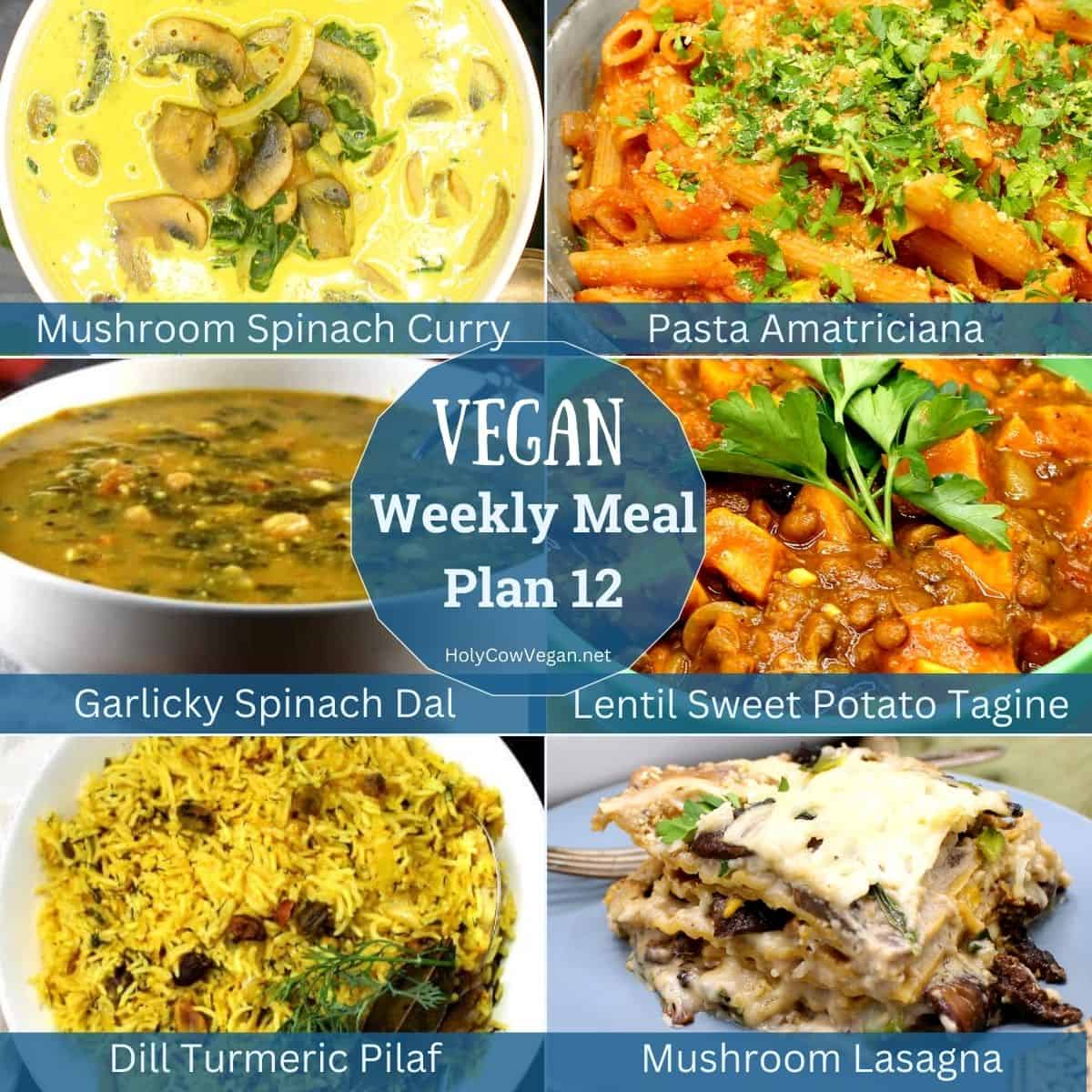 Cover image for vegan meal plan 12 from holycowvegan with text that says "vegan weekly meal plan 12."