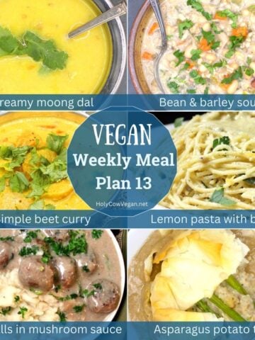 Images of six vegan meals with text that says "weekly vegan meal plan 13, holycowvegan.net."