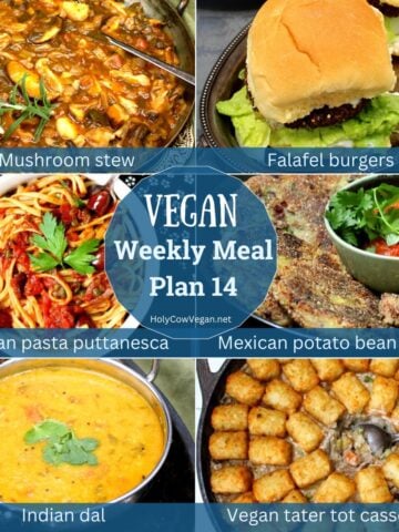 Images of six vegan dinners with text that says "vegan meal plan 14".