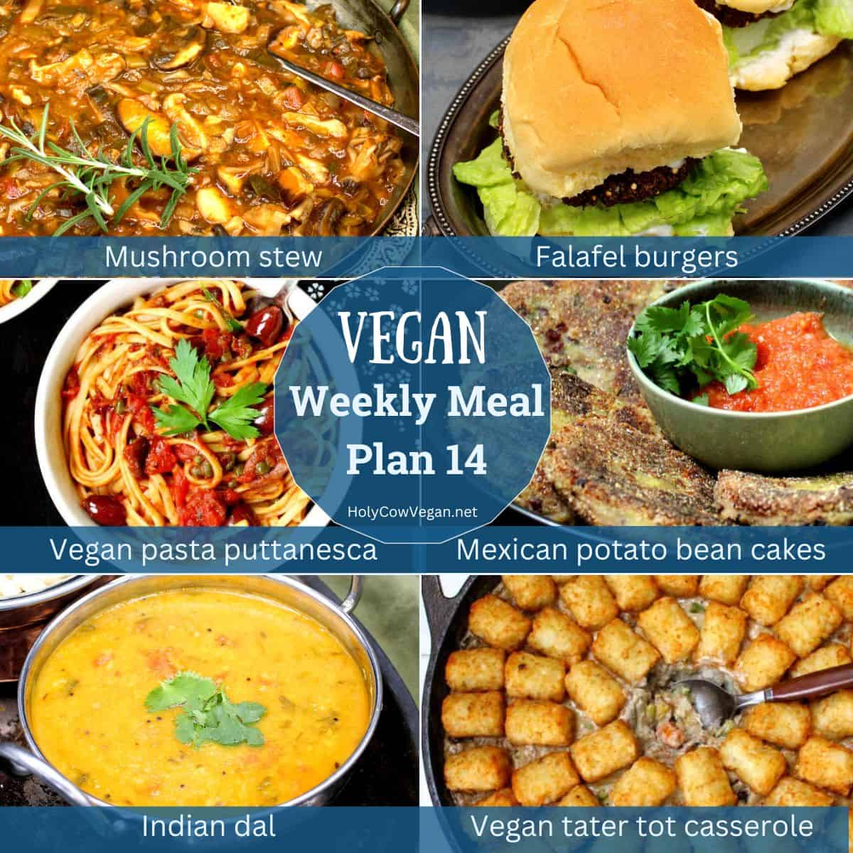 Images of six vegan dinners with text that says "vegan meal plan 14".