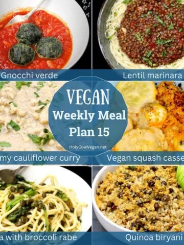 Images of six vegan dinners with text that says "vegan weekly meal plan 15."