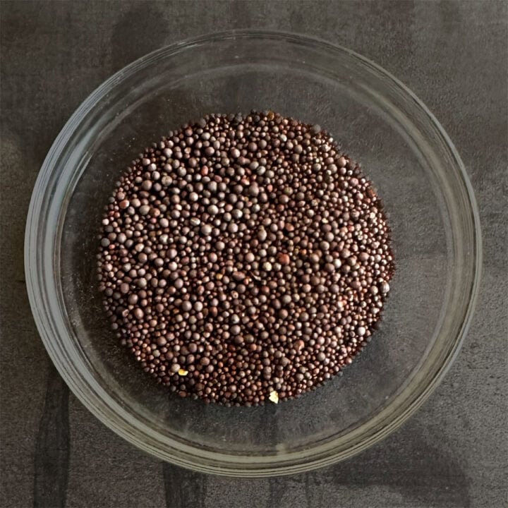Bowl of mustard seeds.